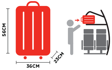 One cabin bag that can be fit in the overhead compartment