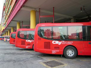 Cityliner buses