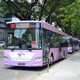 GoKL City Buses serving the Kuala Lumpur District