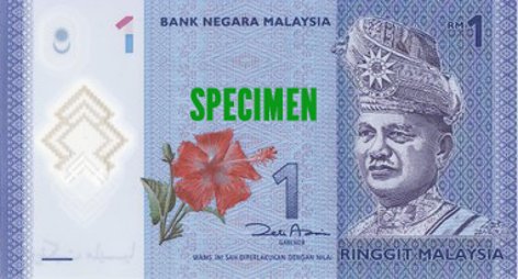 One Malaysian Ringgit (RM1)